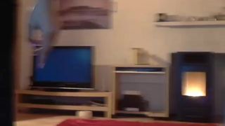 Brunettealesya cam recording 2013 November 17_3