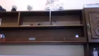 Bella_4u cam recording 2013 November 17