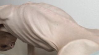 anorexic Denisa 8t00228