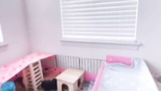 Kitty Kum (kittyxkum) house tour