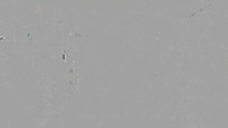 Alex - Alex Braless at the Car Show