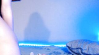 Stella 200515 0620 Lush-Striptease,Domi,IceCube