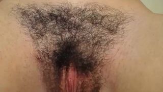 lorywow 1489316674560