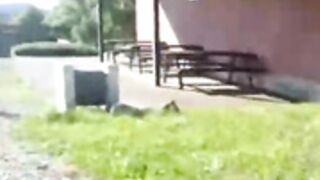 tied up wife fucked in public