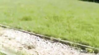 tied up wife fucked in public