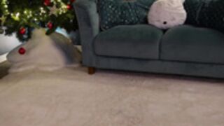 Surfergirl Chaturbate