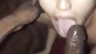 LATINA SWALLOWS BBC (original title)