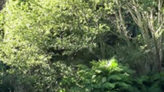 catnahmek bathing in river