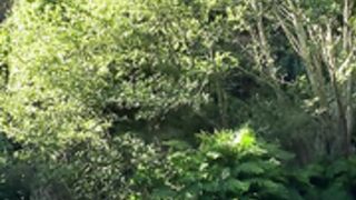 catnahmek bathing in river