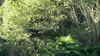 catnahmek bathing in river