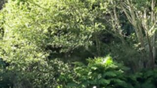 catnahmek bathing in river