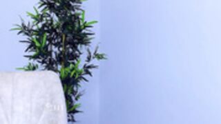 dianaholiday  2022-12-15 pretty and fully naked