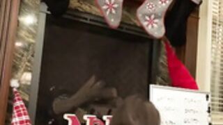 Christina Khalil - Christmas Hit Livestream