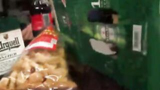 Ryan Conner - Wet Hot American Mom