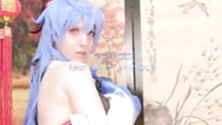 Ganyu Services A Stray Dog