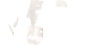 Celina Smith ShagMag