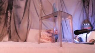 mollyflwers 2022-12-06