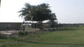 jenny pooh adventure