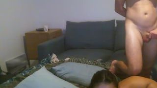 th3f@k31ucy1ul 27317 2