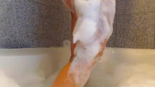 Brielle bath recording