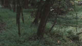 Atlantis Paradise Found