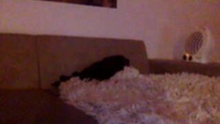 Dorianeshow CAM4 2022-12-09