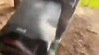 fucking in the woods