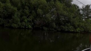 Erica Lynn youtuber compilation