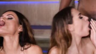 DDF NETWORKS PREVIEW