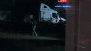 Tribute to Lisa Ann 7