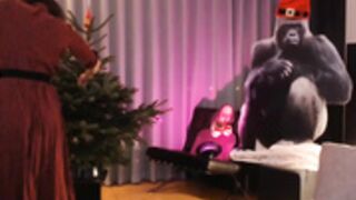 Mora_Marvels NN Dec 18 2022