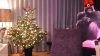 Mora_Marvels NN - Dec 24 - 2022