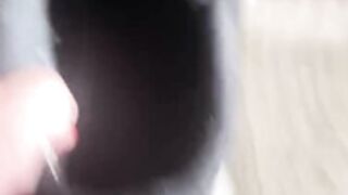 princess bridgette black socks