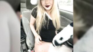 tinylucy navideña en carro