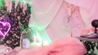 Mollyflwers 267