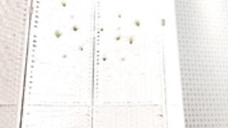 Verasun 20230118（4）