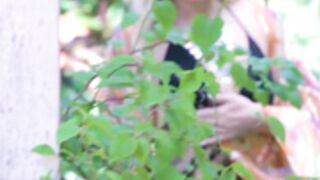 Valentina Nappi - Skye Bee