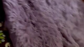 viqq - 20221030_000326
