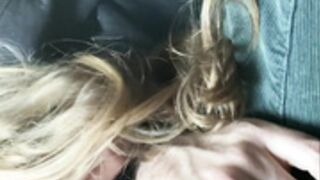 LeoLulu OF Risky Airplane Blowjob