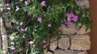 Laurine and friends Mallorca Shooting no nudity