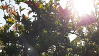 Laurine and friends Mallorca Shooting no nudity