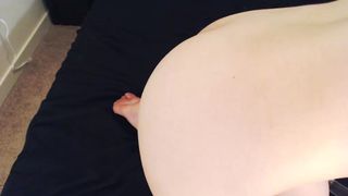 chasethesakura 2