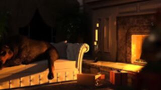 Jackerman Collection (Updated: DO NOT DELETE)