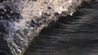 crown_of_vice01 - 26/01/23 - teasing show