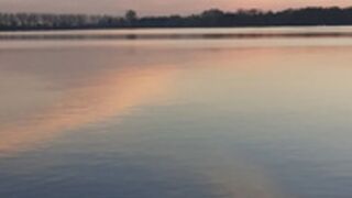 larahenao sucking driver