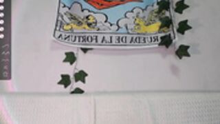 shycinderella sweet cherries