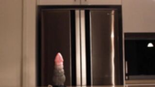 SecretCrush - Riding & Squirting On Nova The Breeder