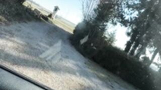 Shift Sticking
