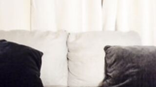 taymade1991 2023-01-20