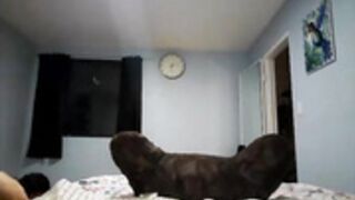 selenaivy 2023-01-31_07-54-58_111